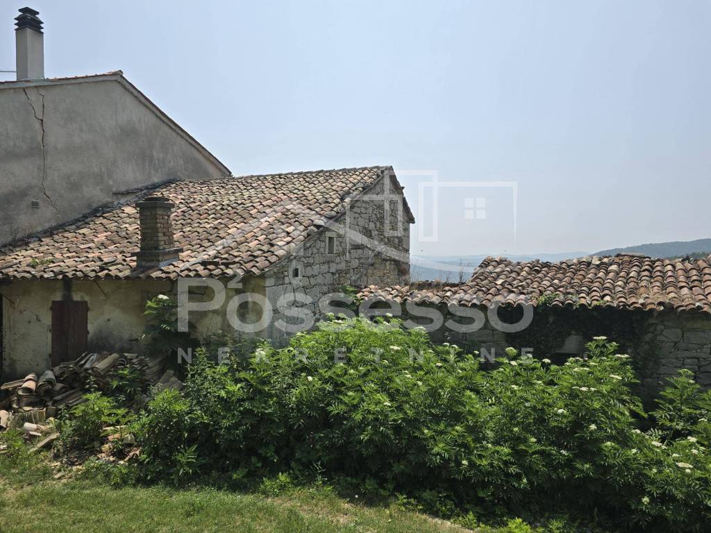 Buzet, Buzet