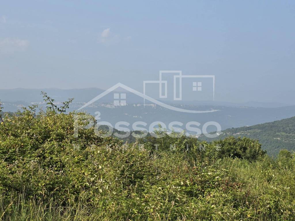 Buzet, Sovinjak