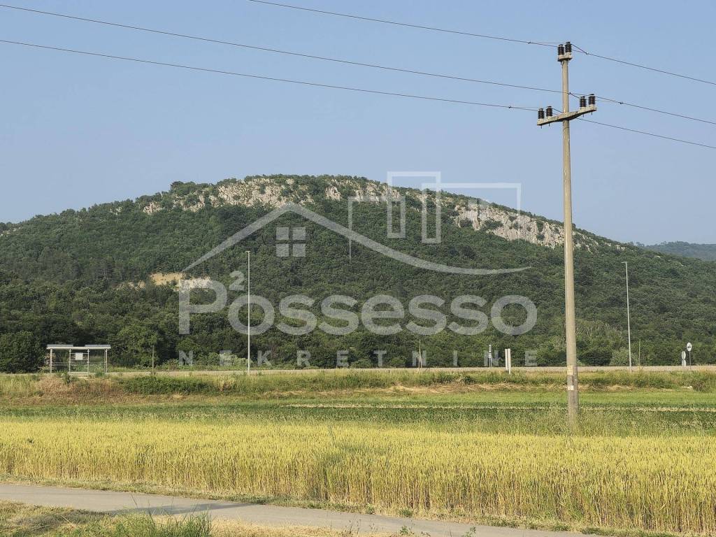 Buzet, Rocko Polje
