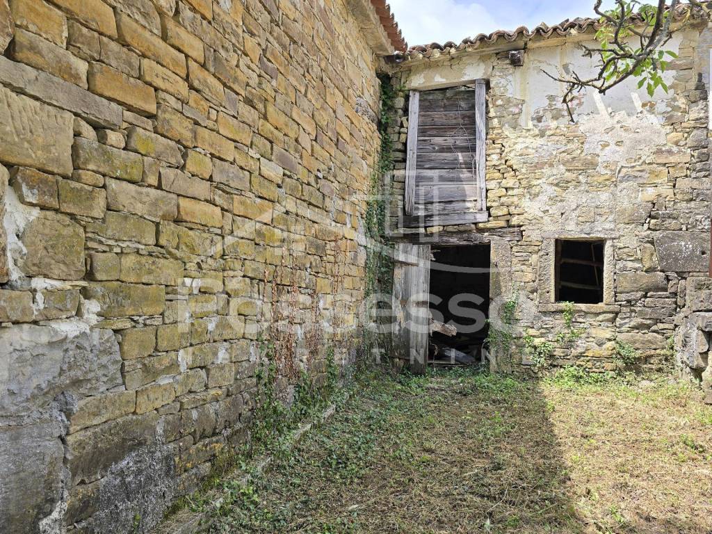 Buzet, Buzet