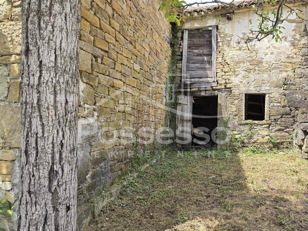 Buzet, Buzet