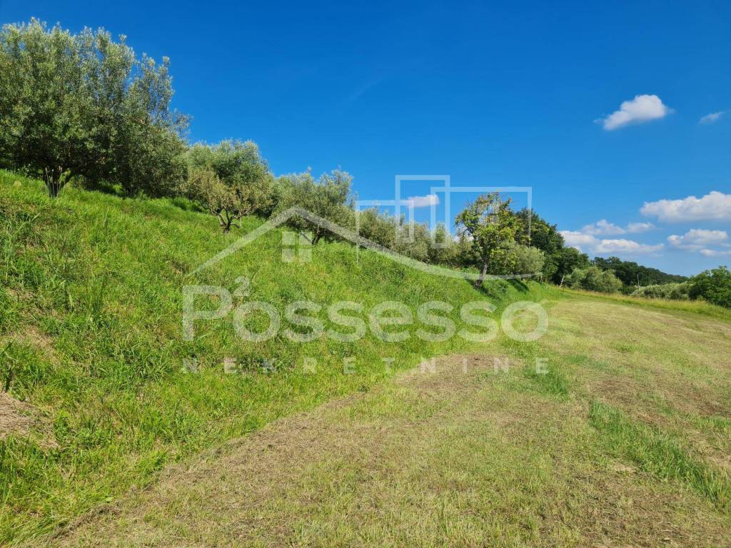 Buzet, Vrh