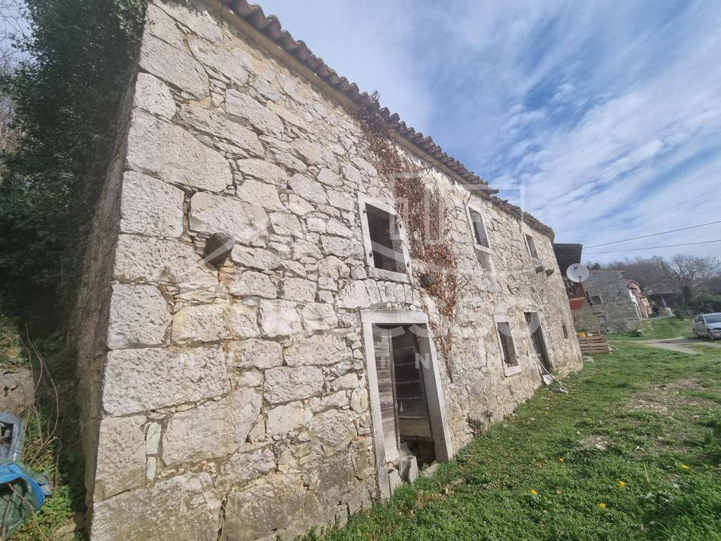 Buzet, Hum