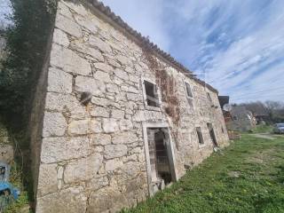 Buzet, Hum