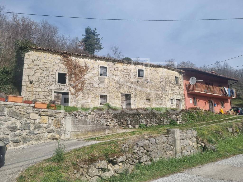 Buzet, Hum