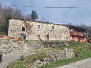Buzet, Hum