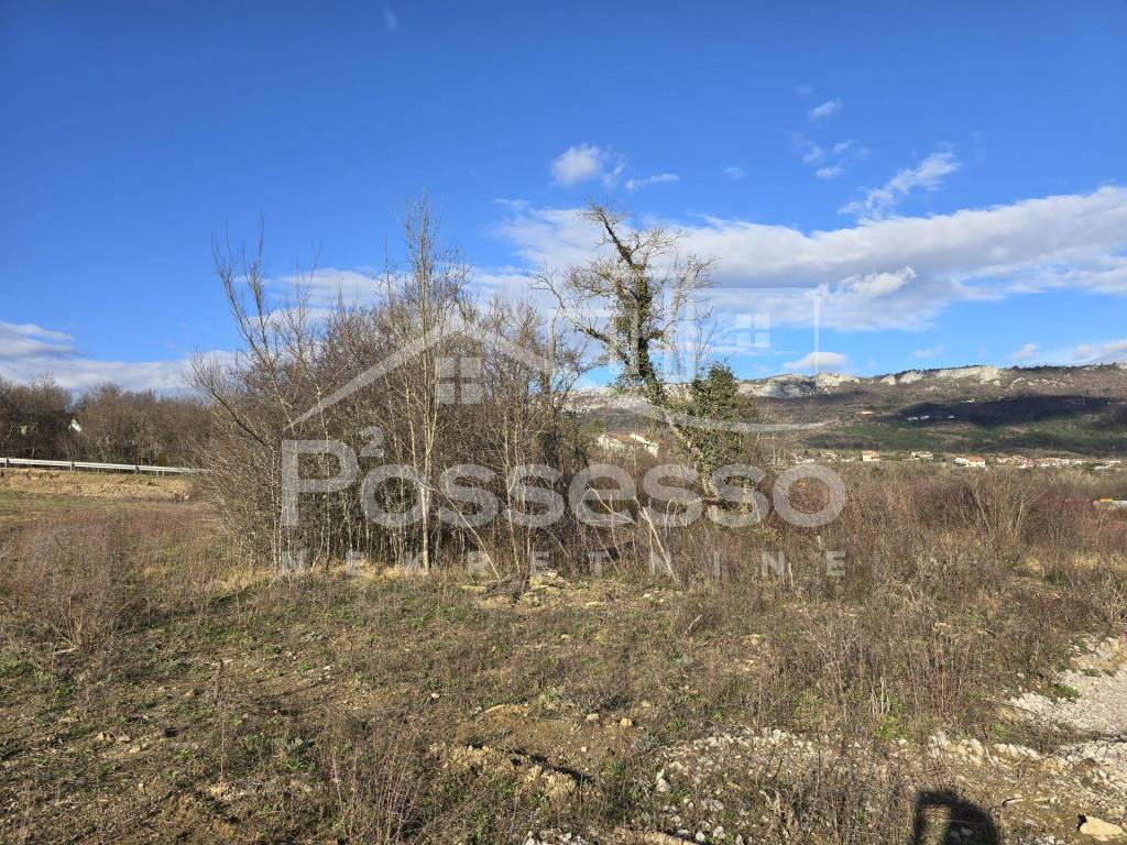 Buzet, Buzet