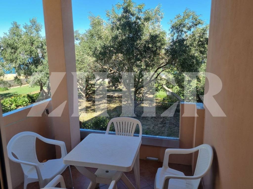 Apartman na moru, Prodaja, Preko, Poljana