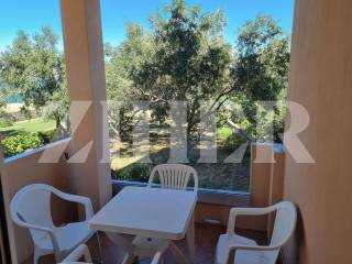 Apartman na moru, Prodaja, Preko, Poljana
