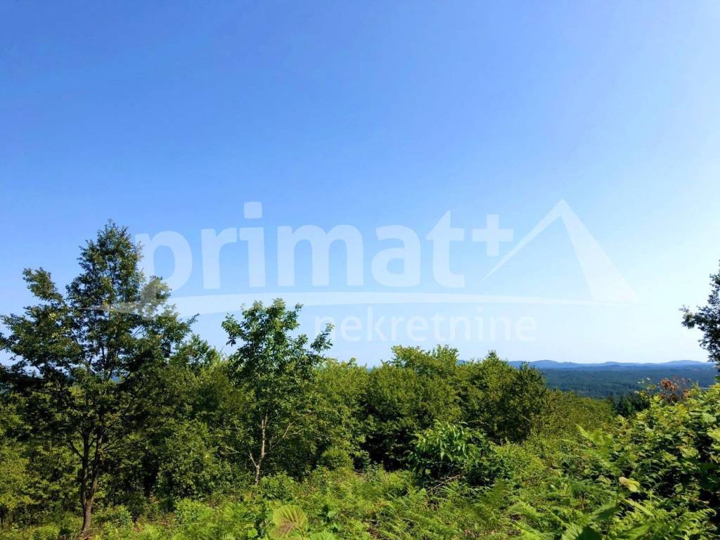 Poljoprivredno zemljište, Prodaja, Ogulin, Popovo Selo