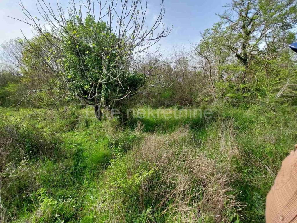 Poljoprivredno zemljište, Prodaja, Krk, Milohnići
