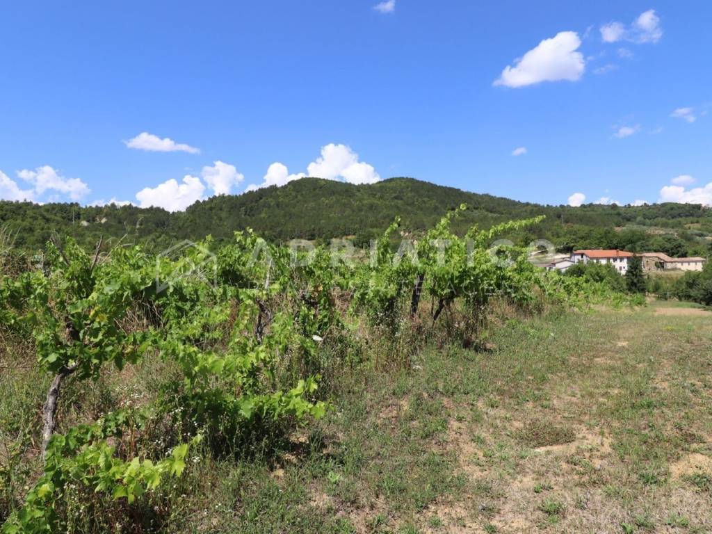 Samostojeća kuća, Prodaja, Pazin - Okolica, Grdoselo