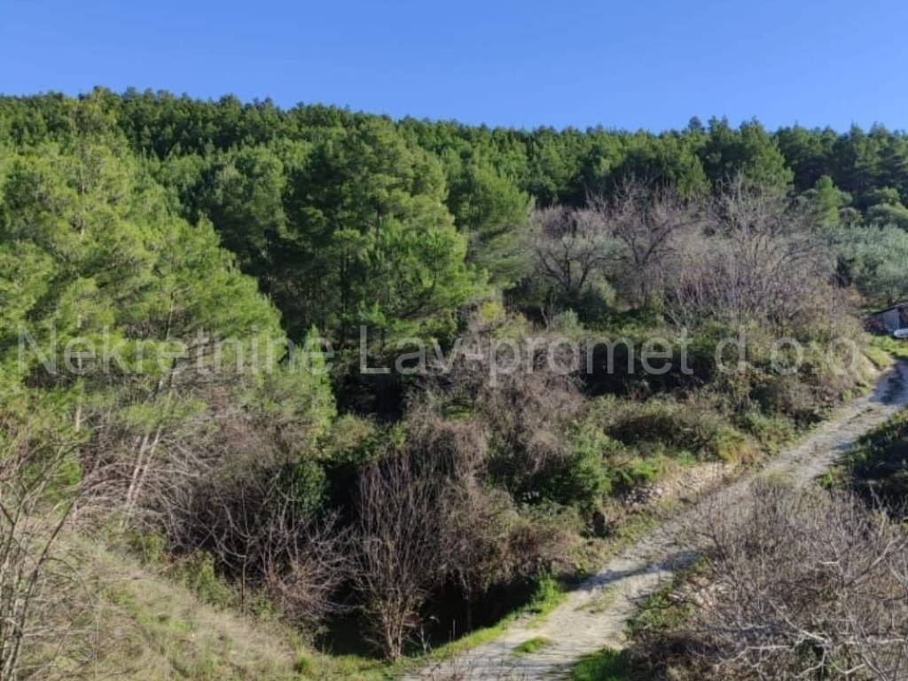 Građevinsko zemljište, Prodaja, Podstrana, Podstrana