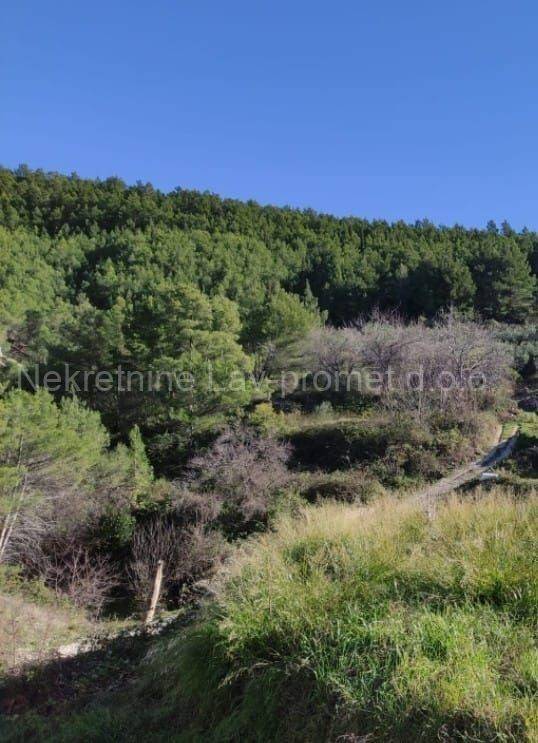 Građevinsko zemljište, Prodaja, Podstrana, Podstrana