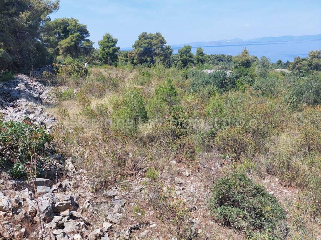 Poljoprivredno zemljište, Prodaja, Sutivan, Sutivan