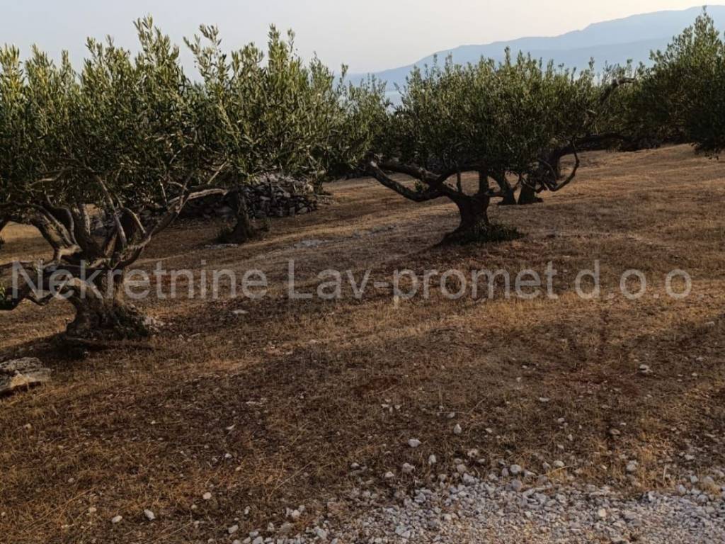 Poljoprivredno zemljište, Prodaja, Supetar, Supetar