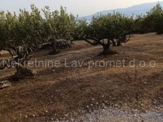 Poljoprivredno zemljište, Prodaja, Supetar, Supetar