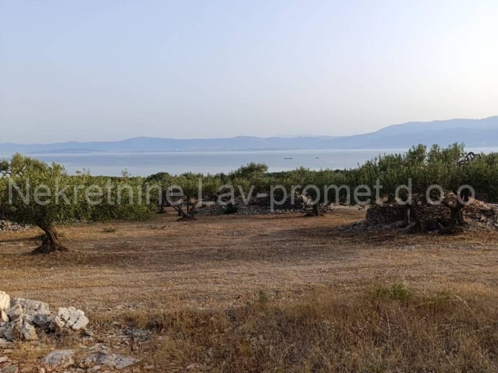 Poljoprivredno zemljište, Prodaja, Supetar, Supetar