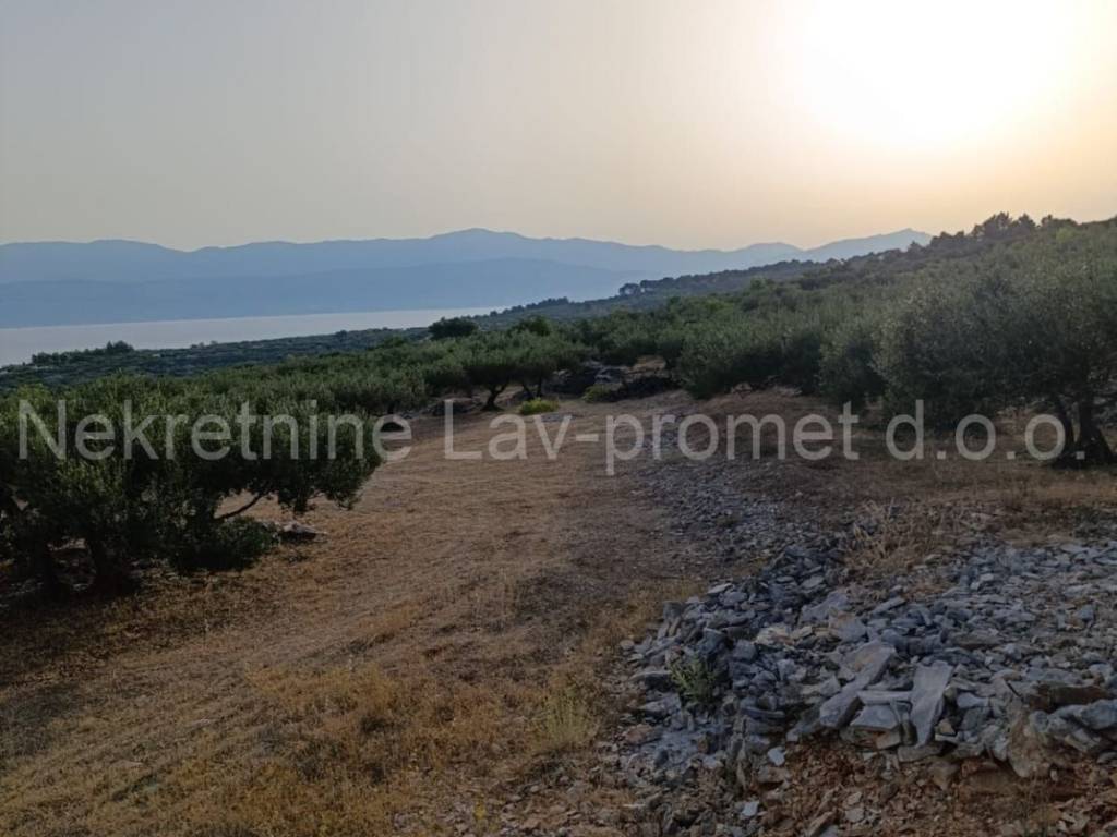 Poljoprivredno zemljište, Prodaja, Supetar, Supetar