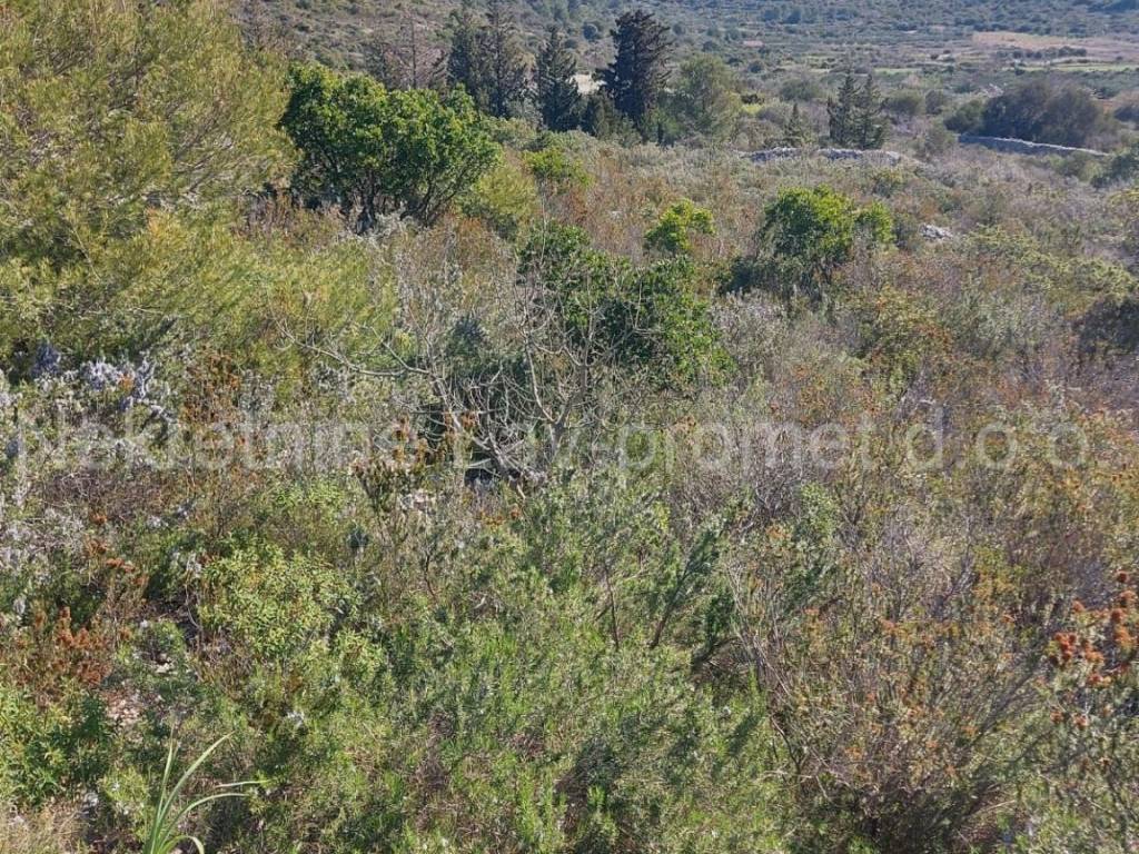 Poljoprivredno zemljište, Prodaja, Vis, Podselje