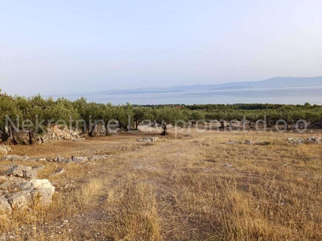 Poljoprivredno zemljište, Prodaja, Supetar, Supetar