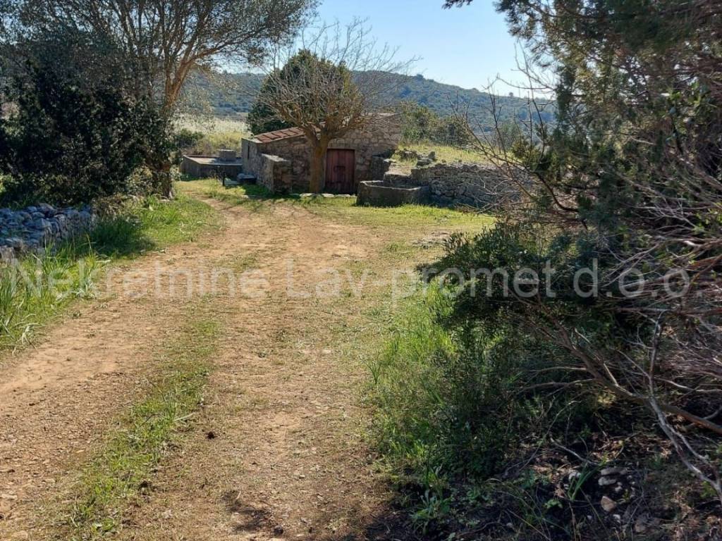 Poljoprivredno zemljište, Prodaja, Vis, Podselje