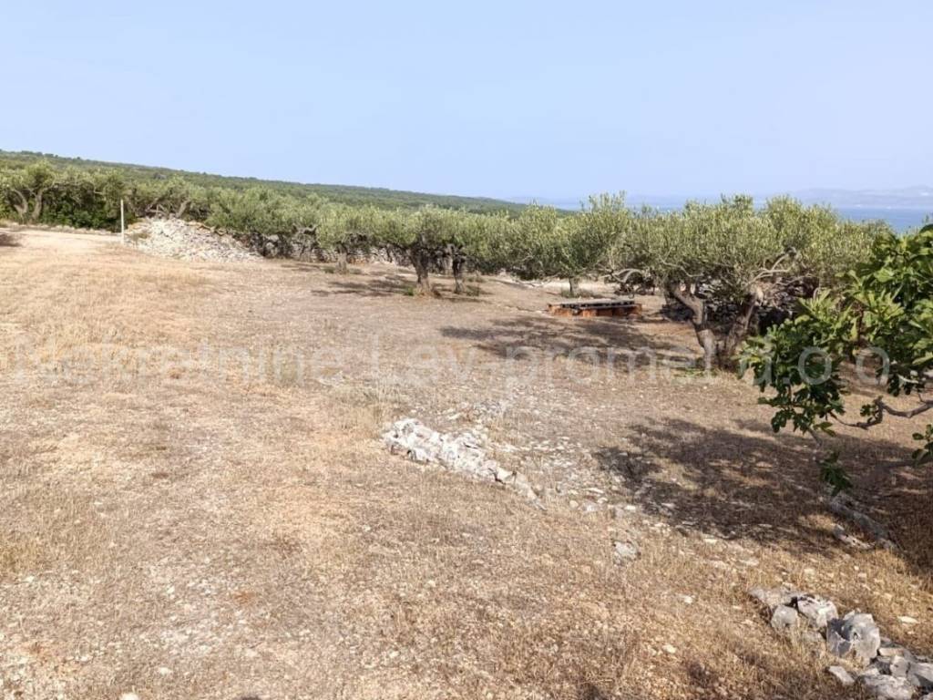 Poljoprivredno zemljište, Prodaja, Supetar, Supetar