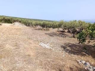 Poljoprivredno zemljište, Prodaja, Supetar, Supetar