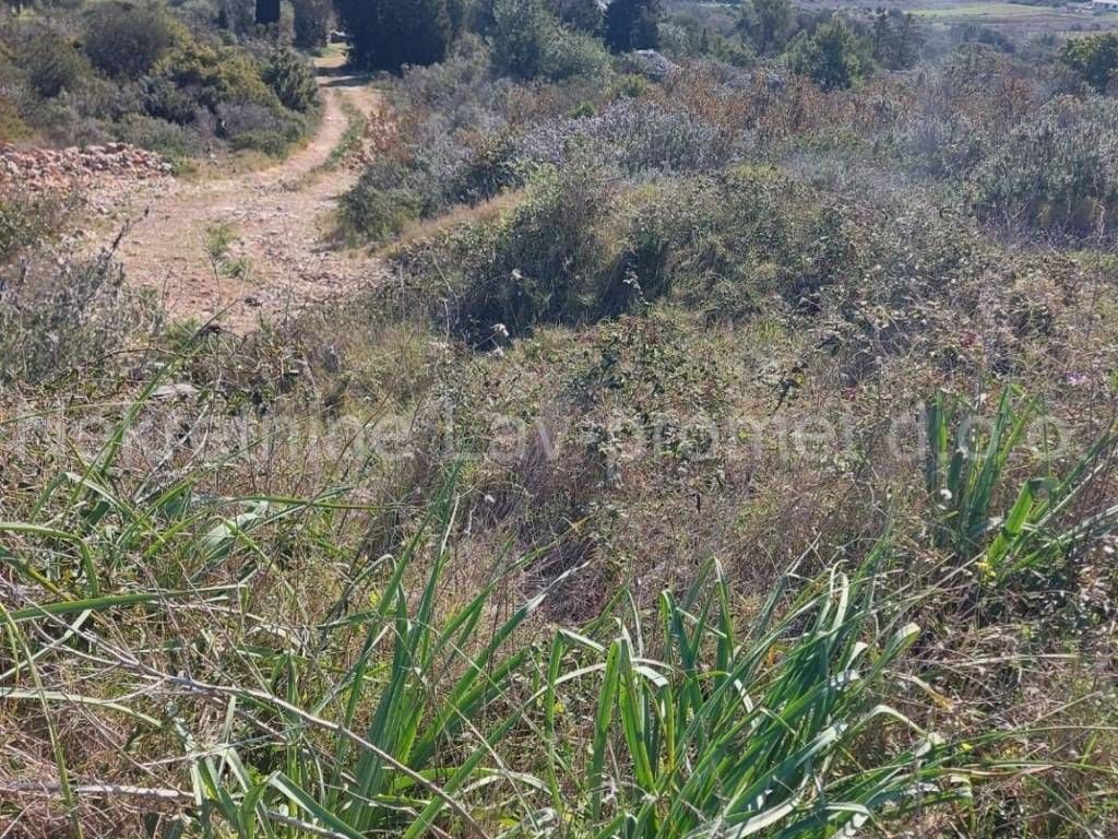 Poljoprivredno zemljište, Prodaja, Vis, Podselje