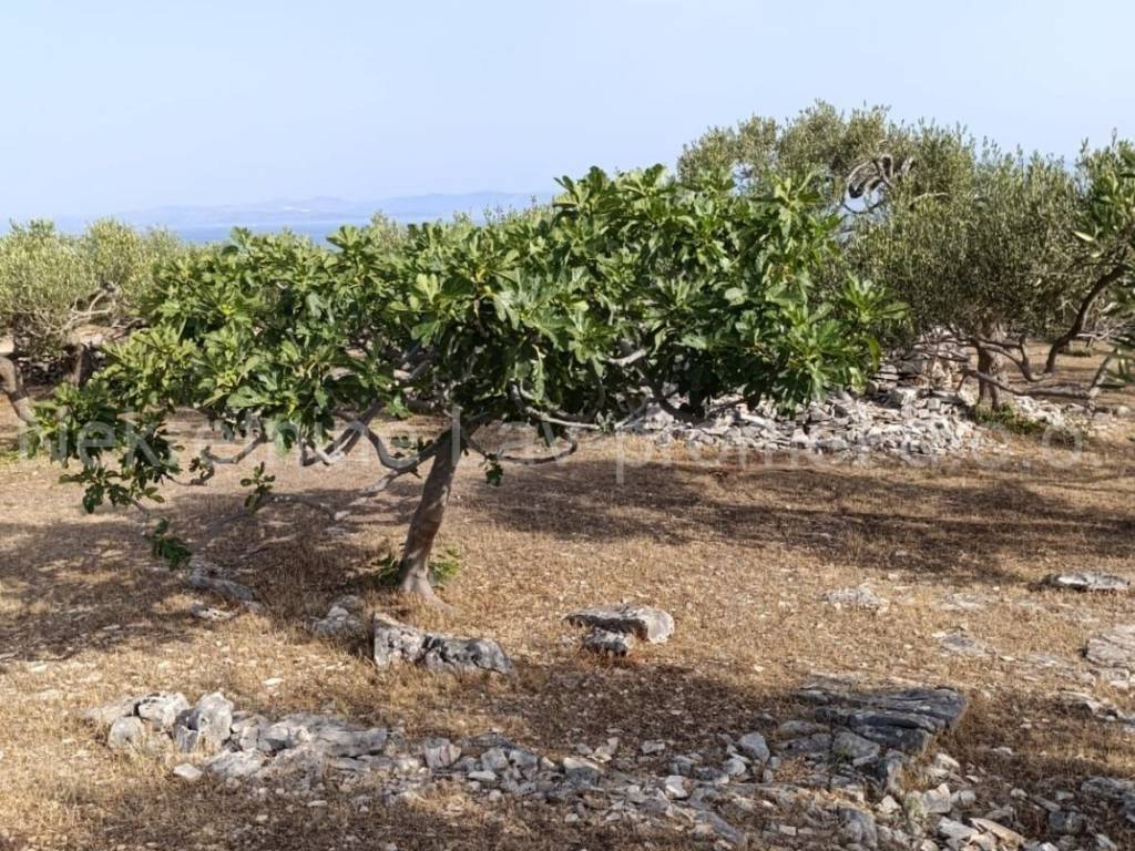 Poljoprivredno zemljište, Prodaja, Supetar, Supetar