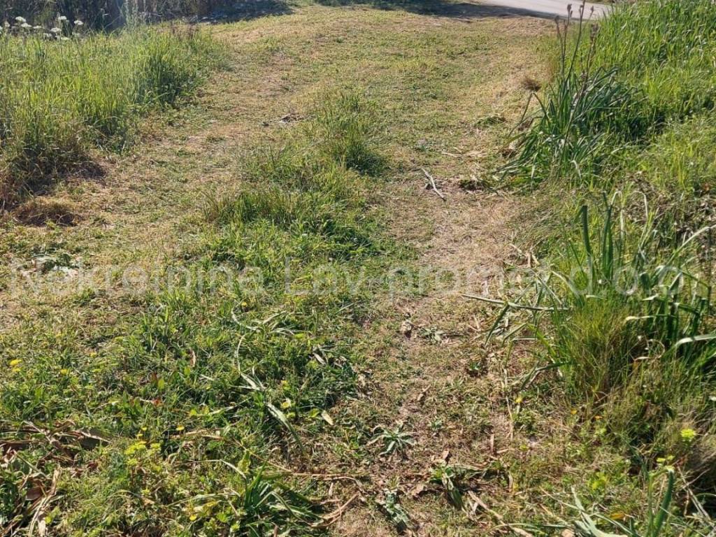 Poljoprivredno zemljište, Prodaja, Vis, Podselje