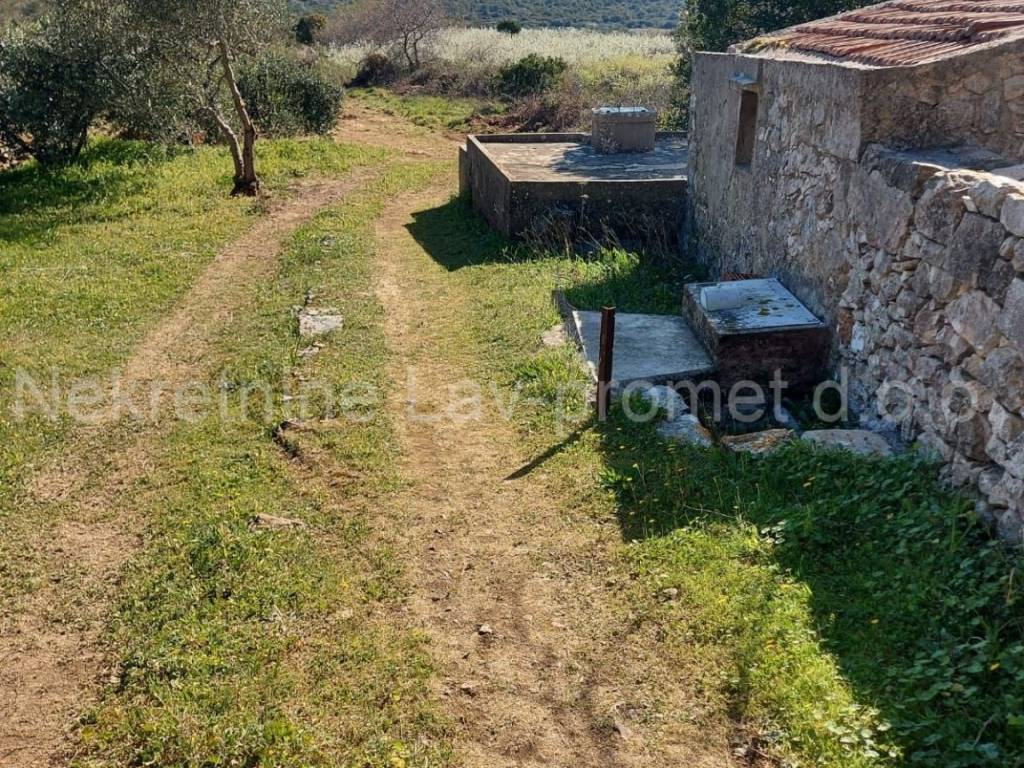 Poljoprivredno zemljište, Prodaja, Vis, Podselje