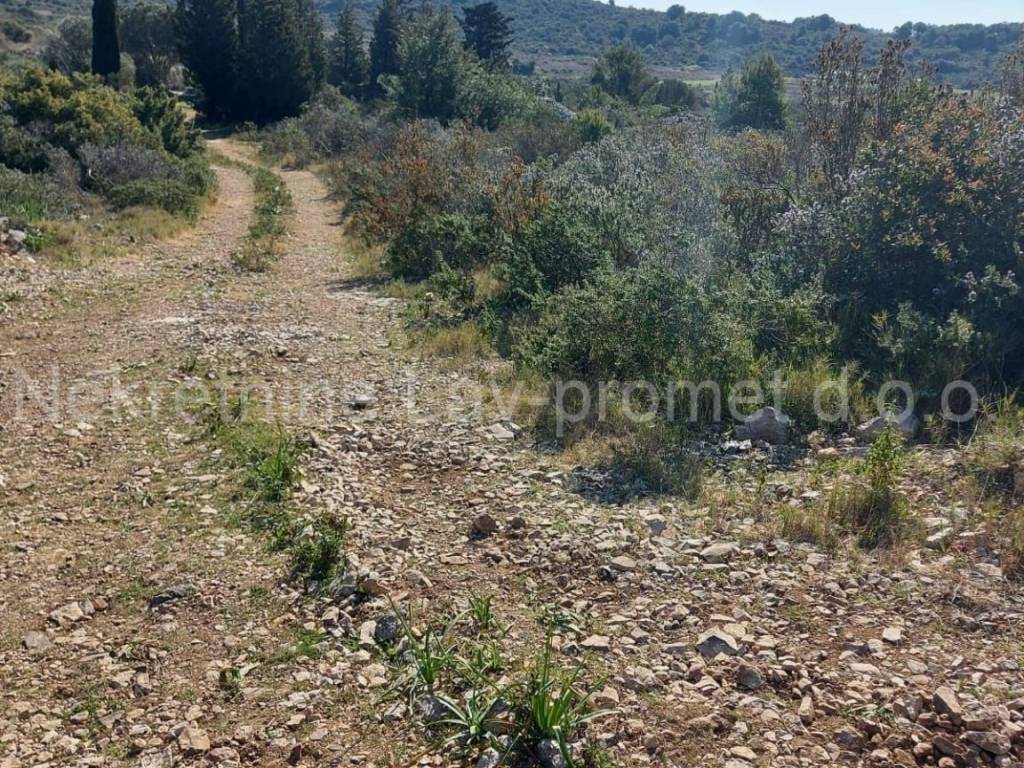 Poljoprivredno zemljište, Prodaja, Vis, Podselje