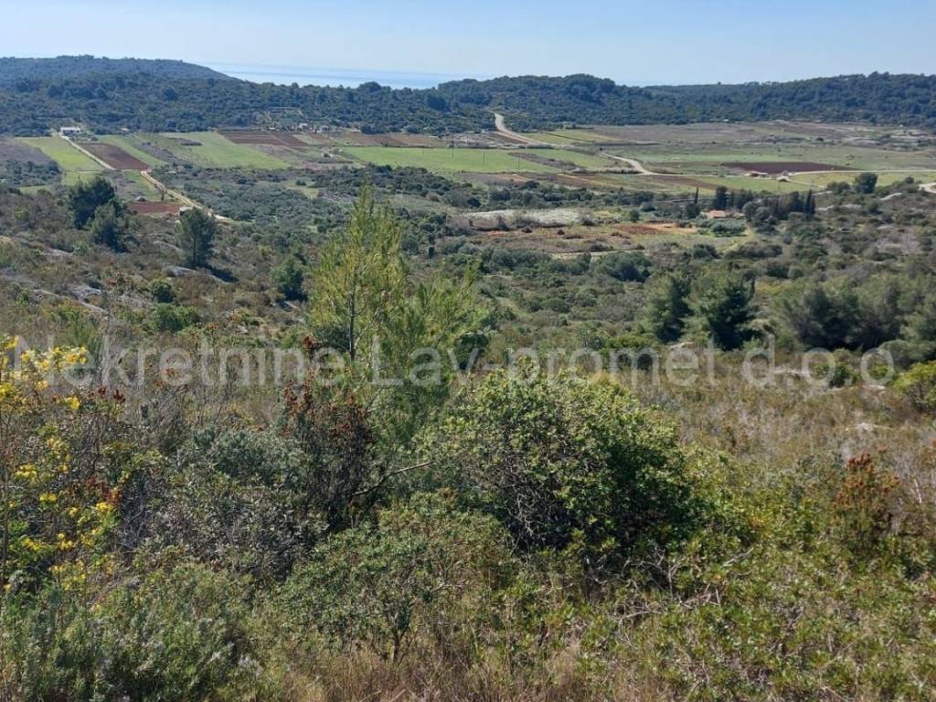 Poljoprivredno zemljište, Prodaja, Vis, Podselje