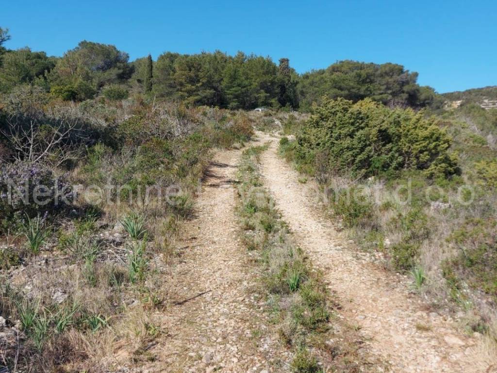 Poljoprivredno zemljište, Prodaja, Vis, Podselje