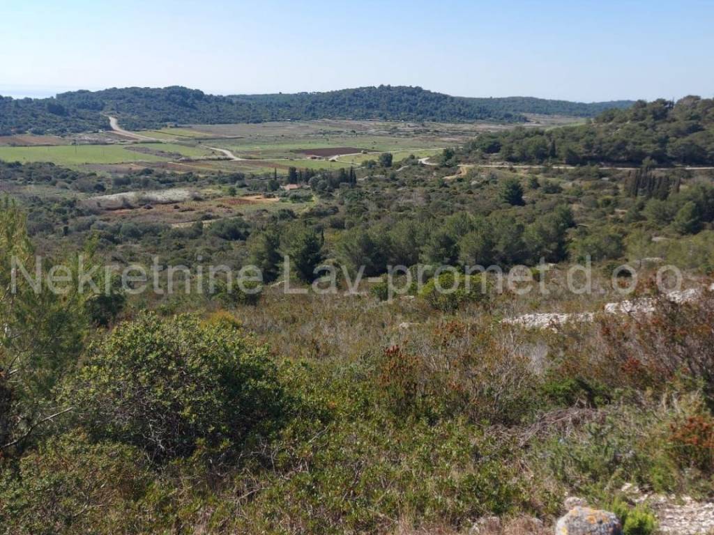 Poljoprivredno zemljište, Prodaja, Vis, Podselje