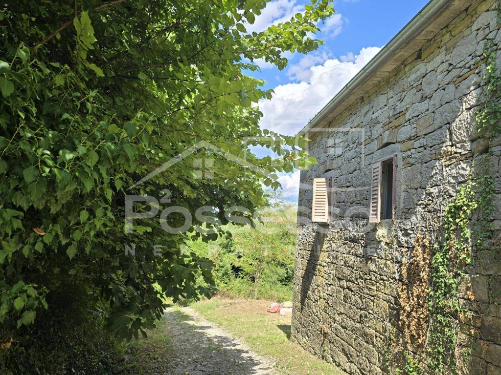 Buzet, Buzet