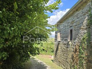 Buzet, Buzet