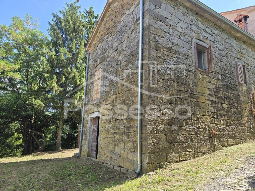 Buzet, Buzet