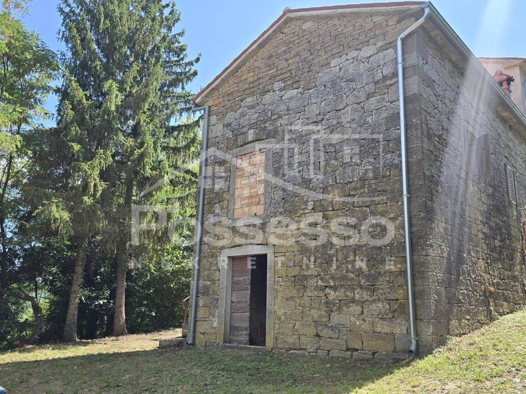 Buzet, Buzet