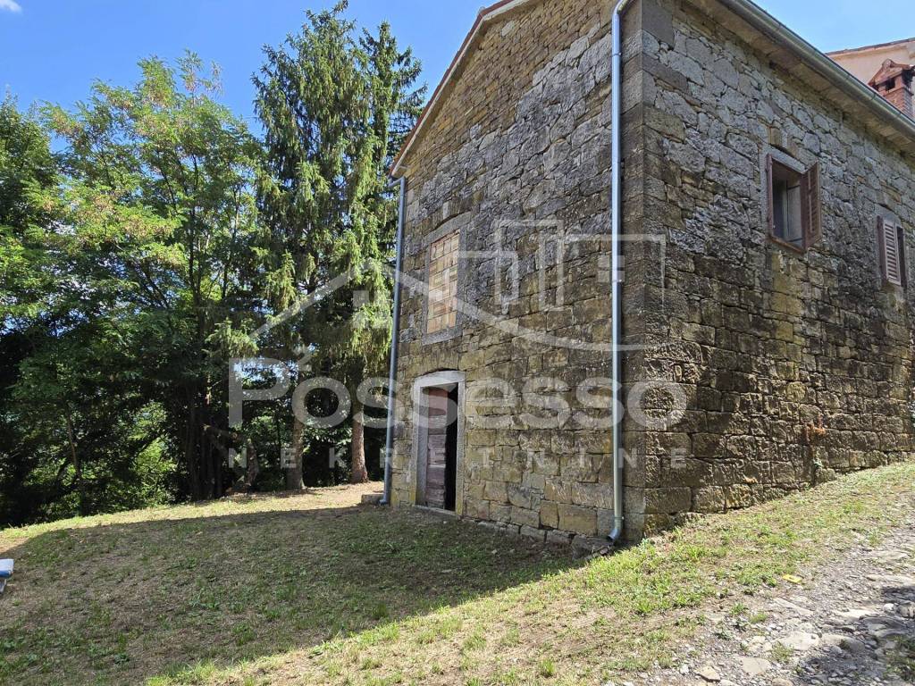 Buzet, Buzet