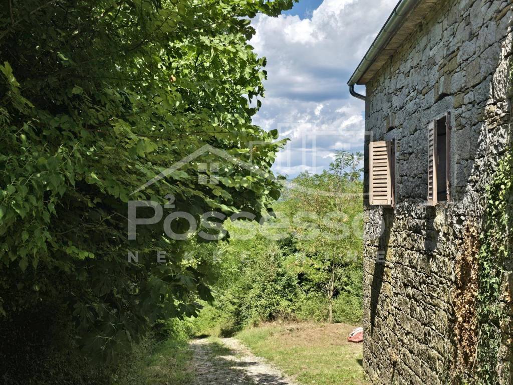 Buzet, Buzet