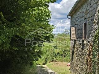 Buzet, Buzet