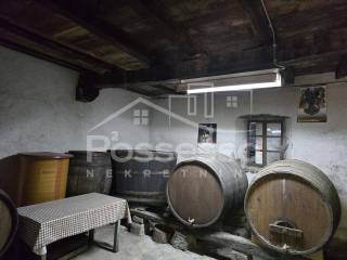 Buzet, Buzet