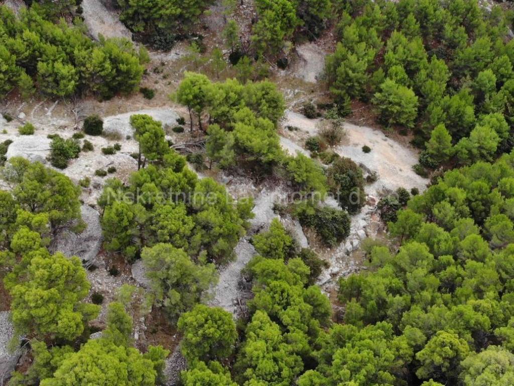 Poljoprivredno zemljište, Prodaja, Milna, Milna