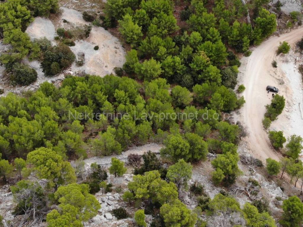 Poljoprivredno zemljište, Prodaja, Milna, Milna
