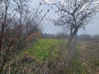 Poljoprivredno zemljište, Prodaja, Brckovljani, Brckovljani