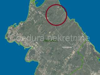 Poljoprivredno zemljište, Prodaja, Privlaka, Privlaka