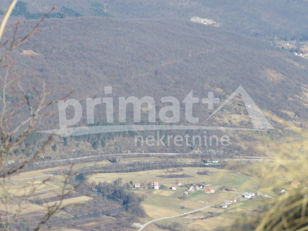 Šuma, Prodaja, Ogulin, Ogulin