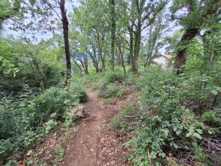 Central part of the property with private access